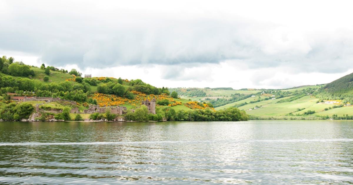 Бордът за риболов на сьомга в област Нес иска незабавен