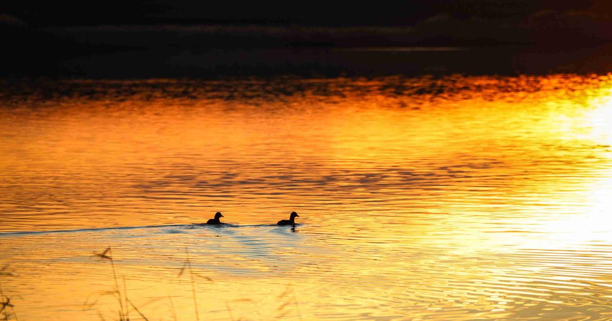 Бургас е от онези градове, които те омагьосват още в