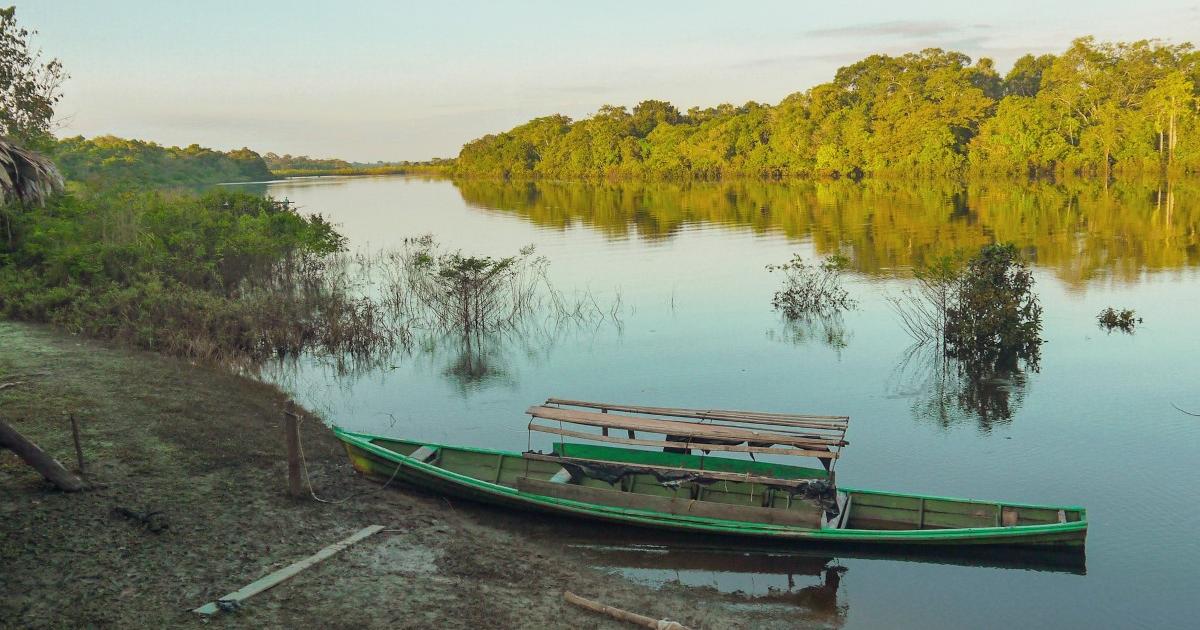 Огромен древен град е открит край Амазонка, скрит от хиляди