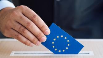 Годината на големия избор