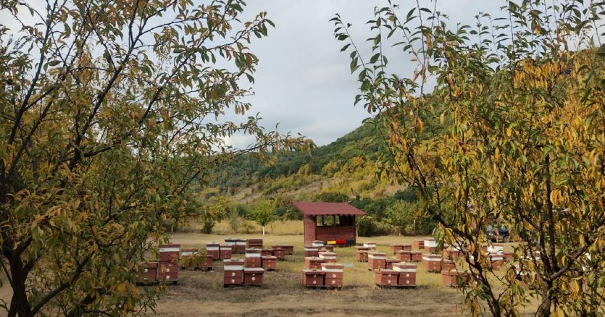 Всичко, което съм мечтала, в момента го живея. На 40