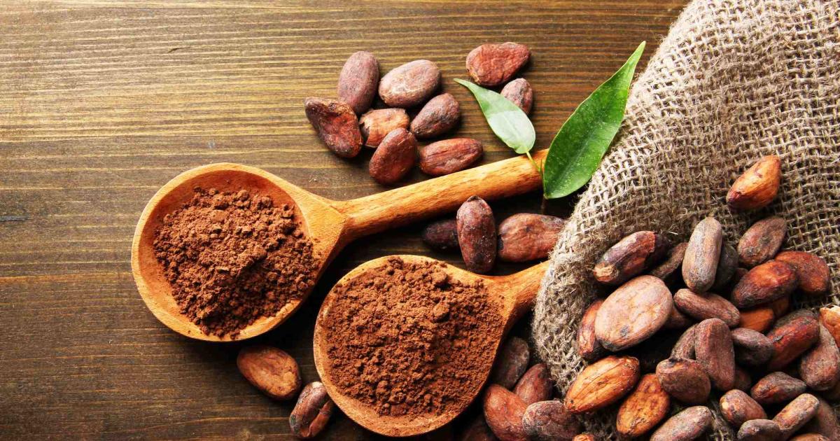 Пътуването на какаото от зърното до шоколада минава през заводи