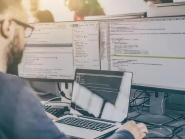 Which are the biggest IT employers in Bulgaria?