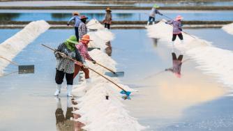 Натрий вместо литий? Стъпка напред в търсенето на истински устойчива батерия