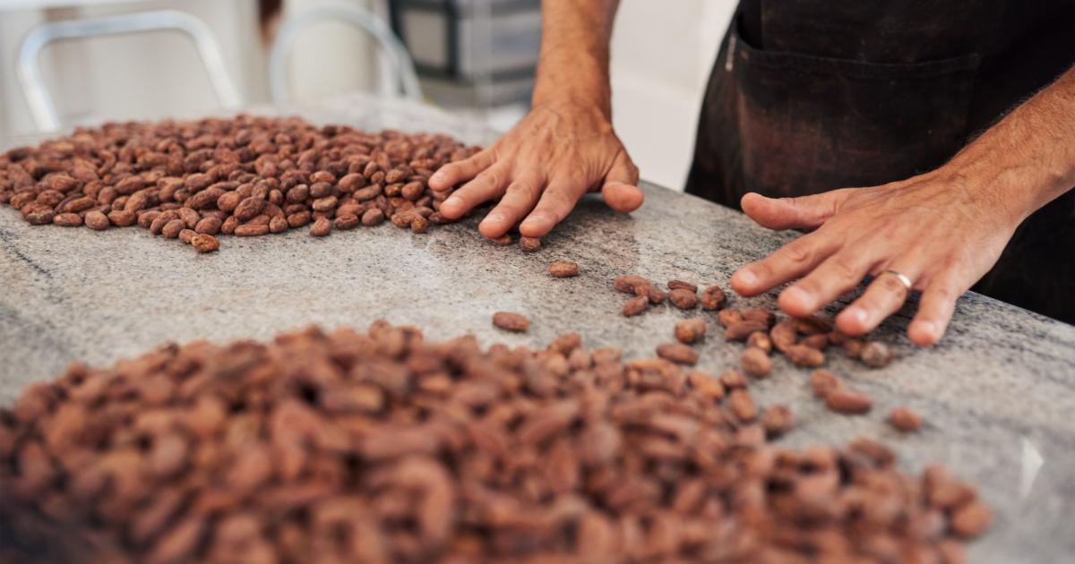 Какаото продължава тенденцията си на поскъпване и вече надхвърля 9000