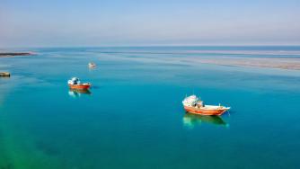 Блокиране на Ормузкия пролив би имало огромен ефект върху енергийните цени