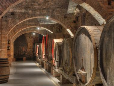 Нова винарска изба предстои да бъде изградена в с. Долна Диканя