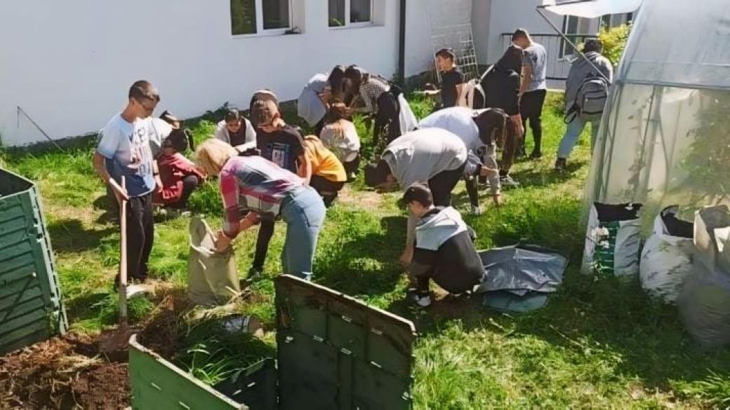 Смолянски ученици с миниплантация от мурсалски чай