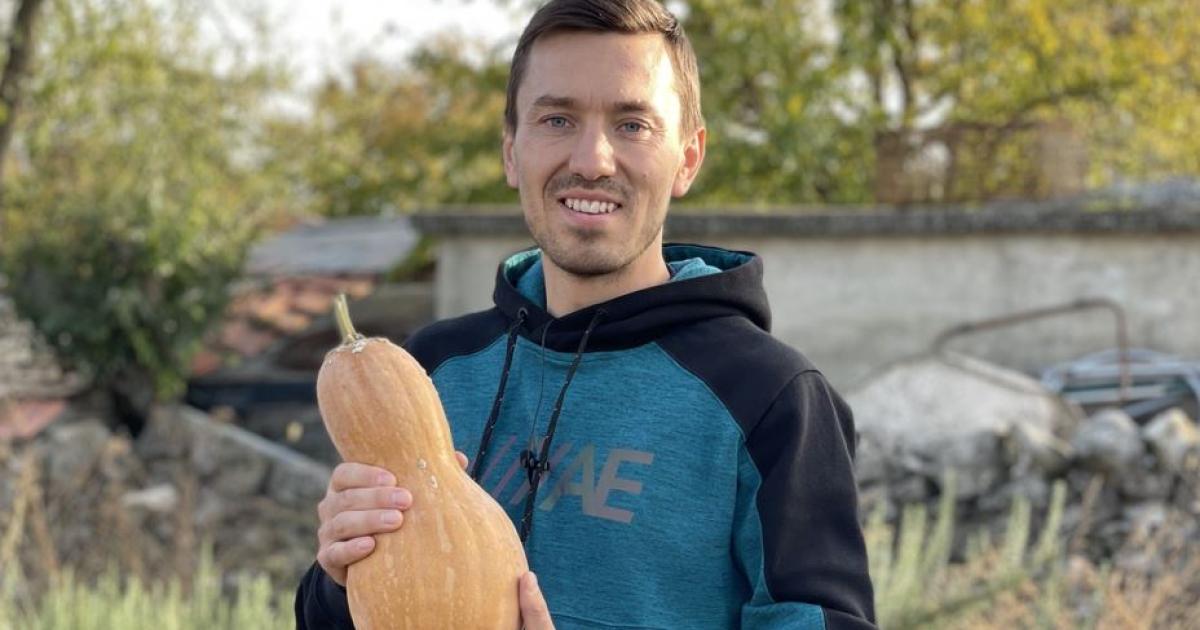 Колко струва килограм домати? Нула лева, защото в момента предлагаме