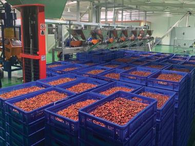 Пътят на биосуровините