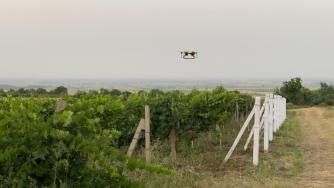 Царина – малката високотехнологична изба