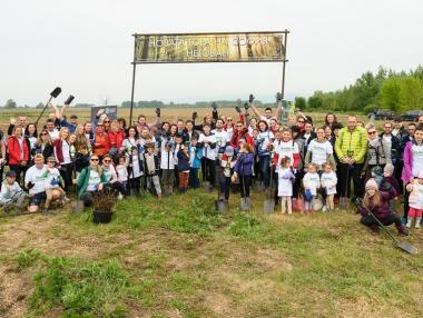 Доброволци от Пощенска банка засадиха 1300 фиданки в района на с. Негован