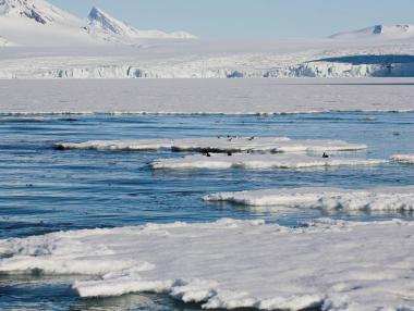 Последното парче земя на Арктика се продава за 300 млн. евро