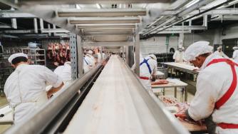 Възстановяват дейността на месокомбинат „Добруджа“ в Силистра