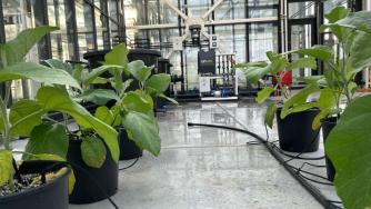 Пълна промяна в земеделието