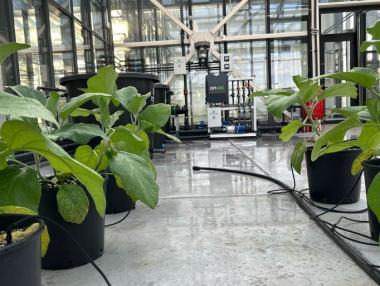 Пълна промяна в земеделието