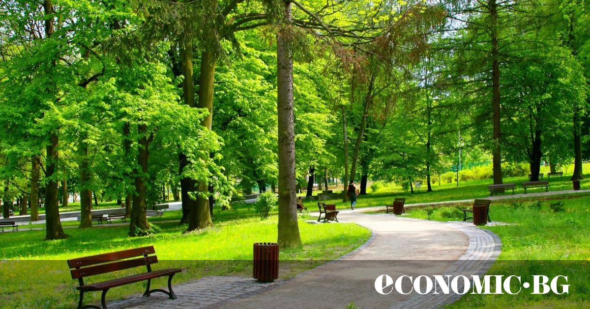 За да се реализира т.нар. Зелен ринг“ на София, служебният