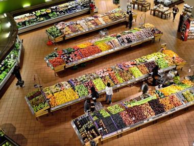 Задава ли се продоволствена криза