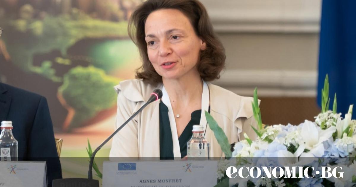 Agnes Monfret, Head of the Cohesion Policy Unit for Bulgaria,