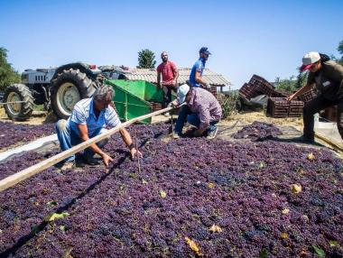 Планът на Гърция за 6-дневна работна седмица може да не проработи
