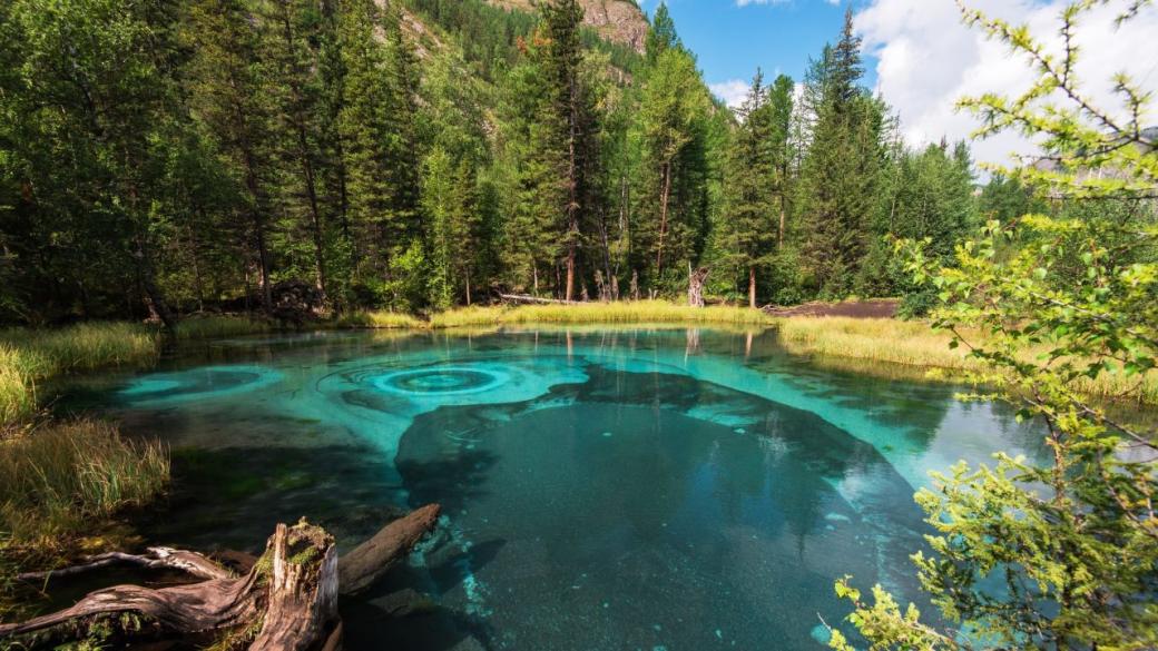 Thermal park near Pamporovo - a new project to attract tourists