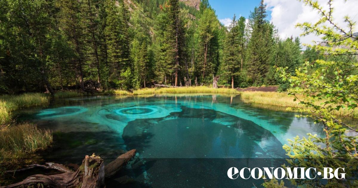 С амбиция да привлича туристи целогодишно Пампорово АД“, единственият оператор