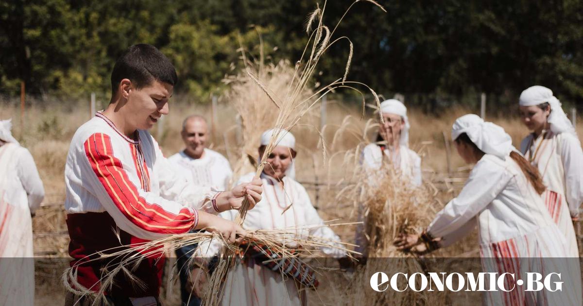 Обикаляйки из Родопите човек няма как да не се влюби