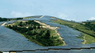 ВЕИ и земеделието могат да вървят ръка за ръка