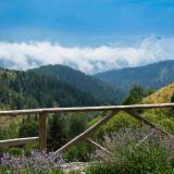 Да замениш София с родопско село: Учителите, които създават средище за нови знания