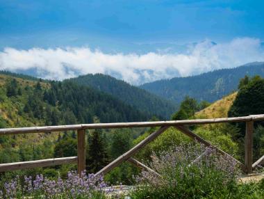 Да замениш София с родопско село: Учителите, които създават средище за нови знания