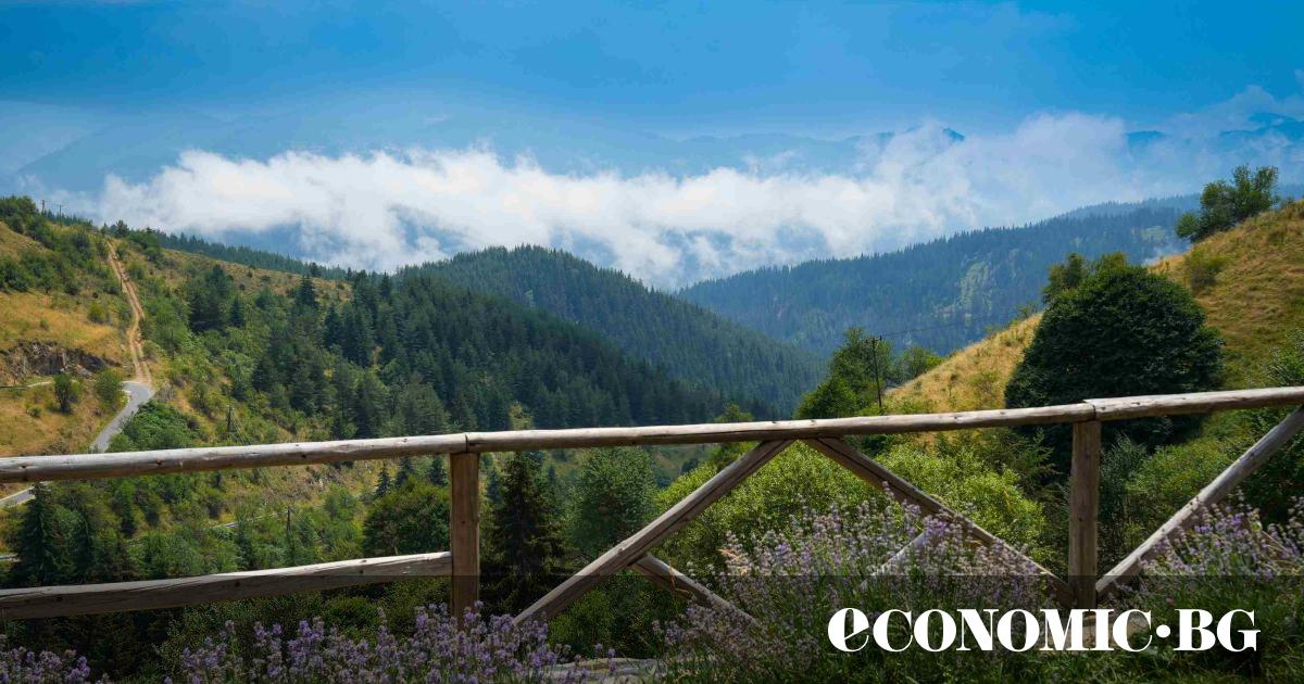 Човек се влюбва в Родопите от пръв поглед. Със своята