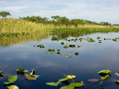 Флорида изгражда най-големия проект за възстановяване на околната среда в света