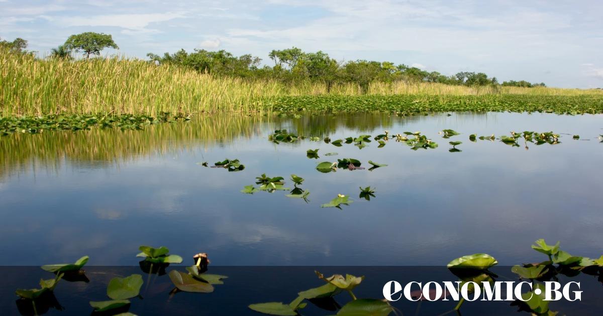 През февруари 2023 г. голям багер направи първа копка на