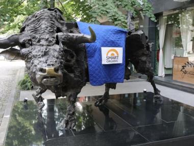 Отчет за дейността на „Смарт Органик“ АД към юни 2024 г.