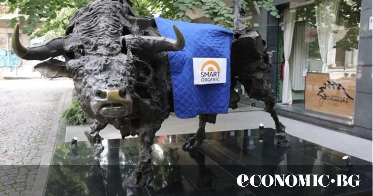 Обобщена информация за Смарт Органик“ АД, базирана на отчета за