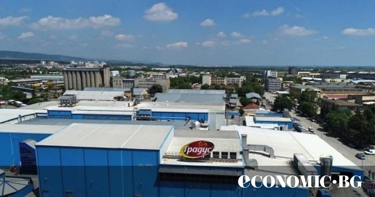 Обобщена информация за Градус“ АД, базирана на отчета за дейността на