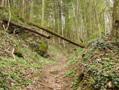 Пътеката на Толкин: Къде да намерите истинската Средна земя