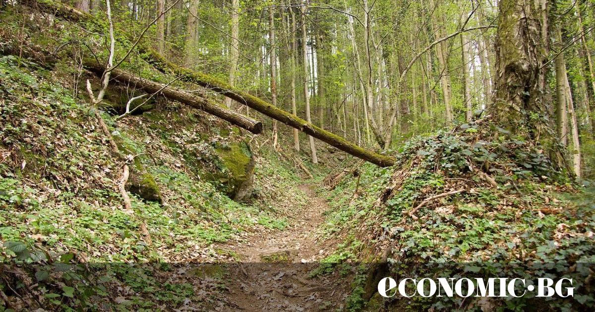 Първата книга от трилогията Властелинът на пръстените“ на Дж. Р.