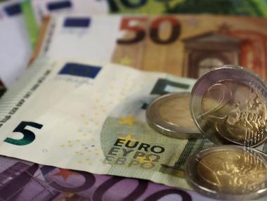 С неуверена крачка към еврото