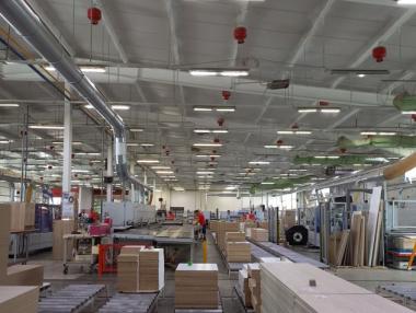 Русе от дърводобива до мебелното производство