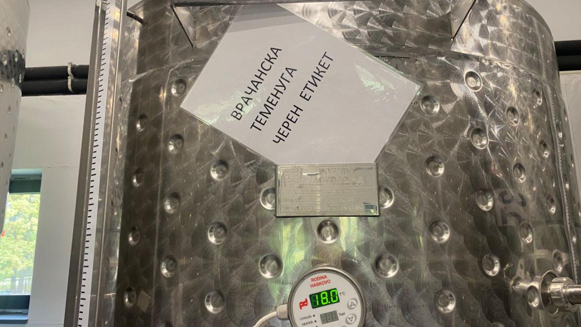 Галерия :: Снимка 0 :: Малка семейна изба възражда винения сорт „Врачанска теменуга“}