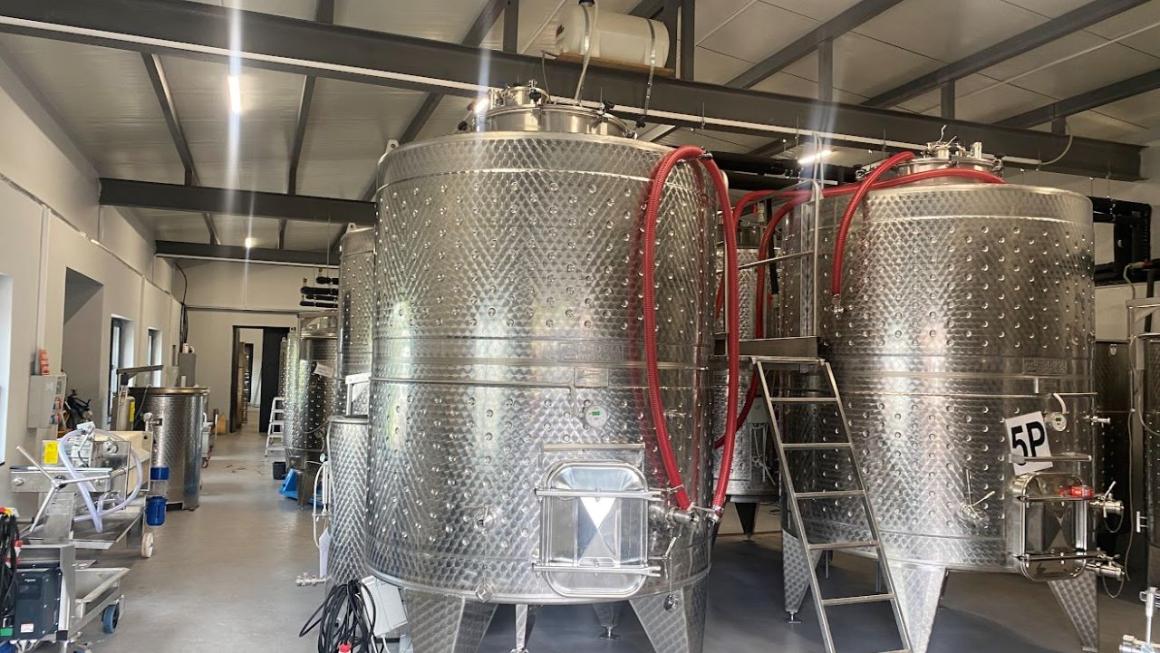 Галерия :: Снимка 1 :: Малка семейна изба възражда винения сорт „Врачанска теменуга“}