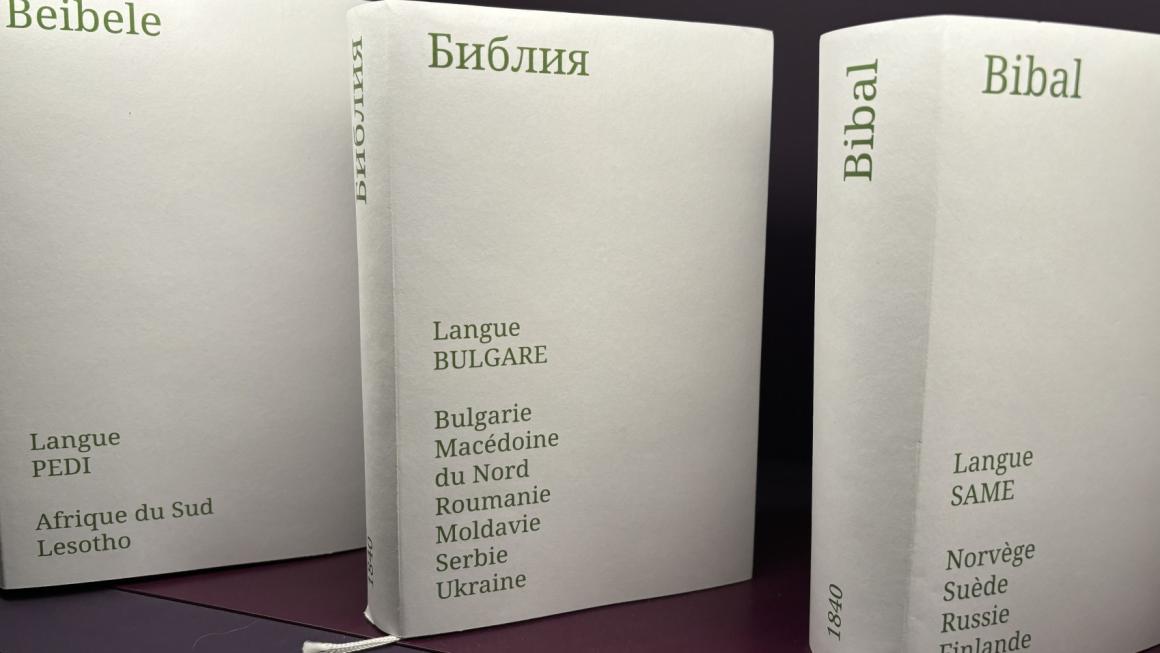 Галерия :: Снимка 4 :: Женева – столицата на мира (снимки)}