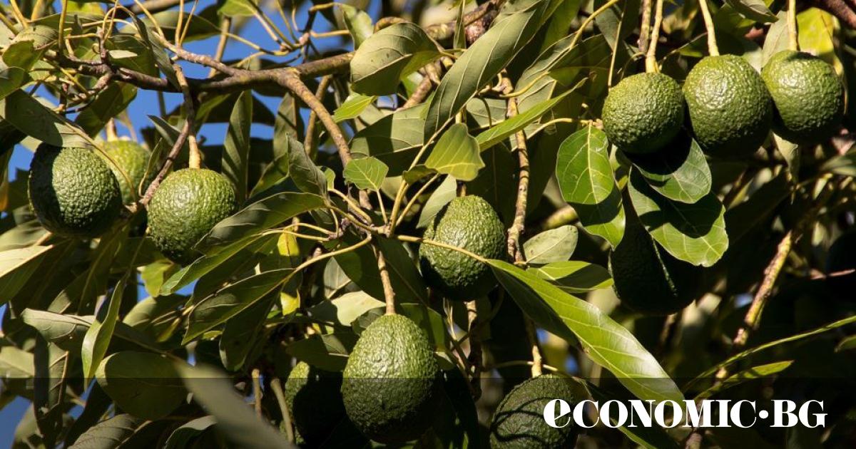 Не толкова отдавна, в края на 90-те години, малко българи