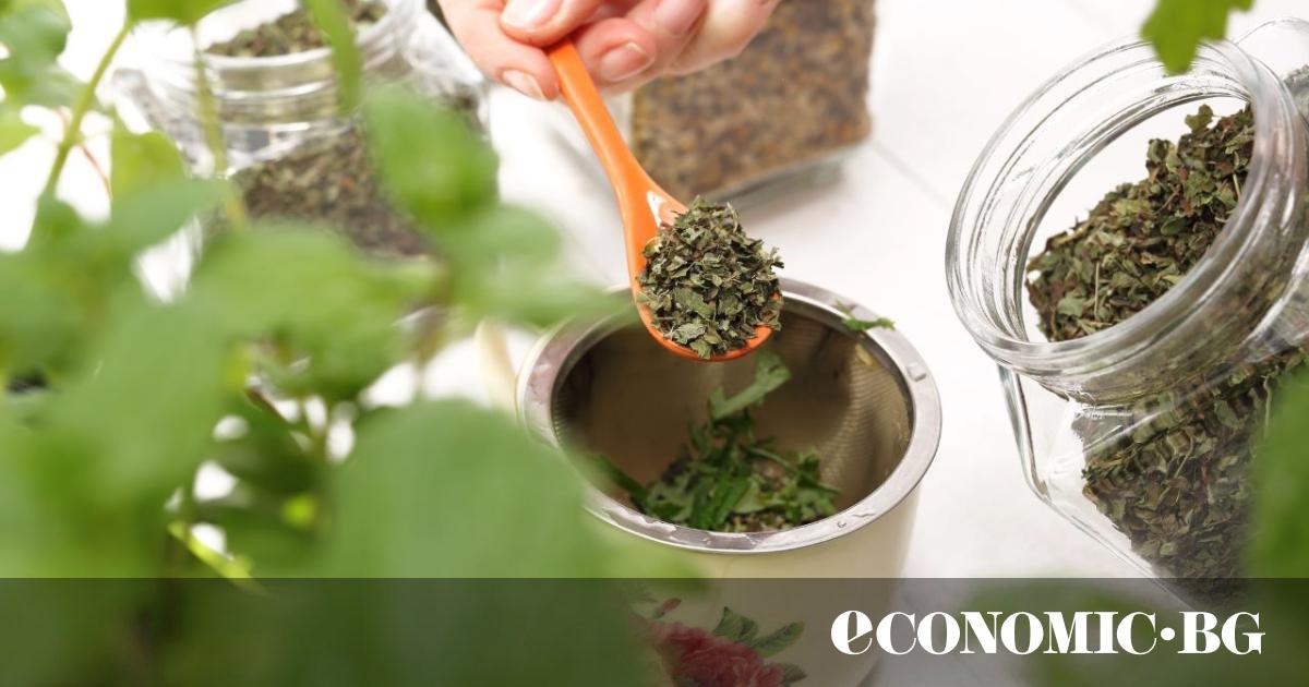 Учителка по професия, Лиляна Георгица винаги е била любител на