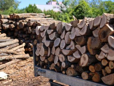 Е-търговете увеличиха приходите на горските предприятия с 53 млн. лв.