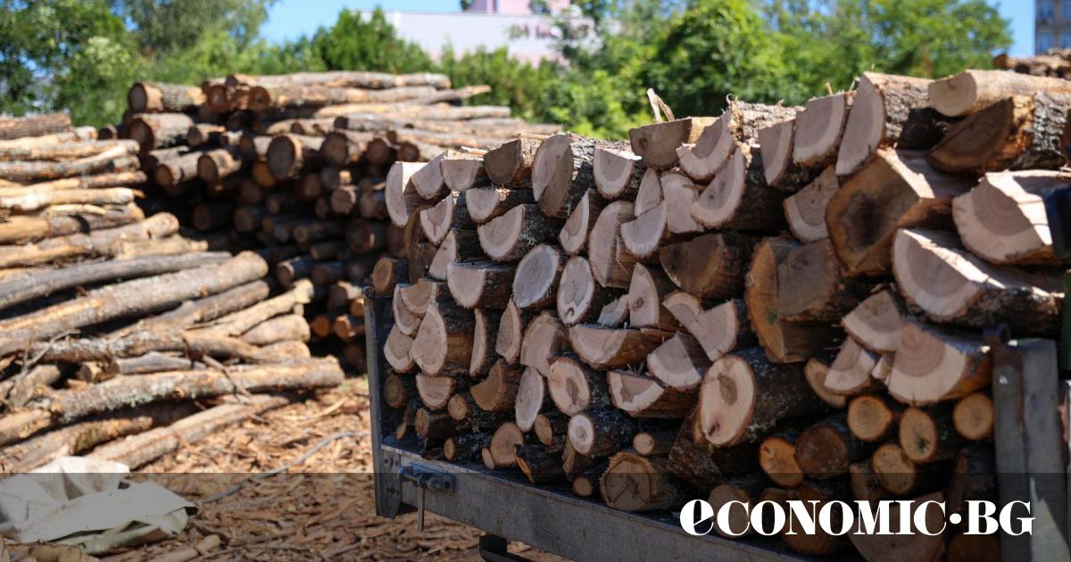 Въвеждането на електронни търгове за продажба на дървесина е увеличило