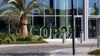 С началото на COP29: Колко трябва да инвестира светът, за да достигне нетна нула?