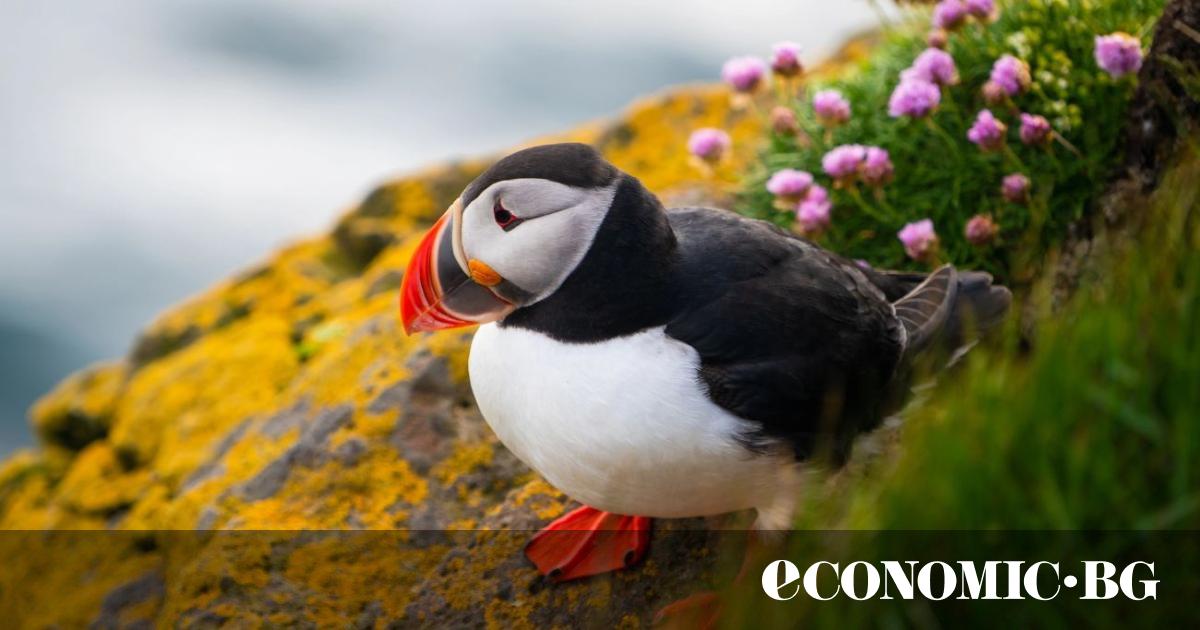 Дори по средата на слънчев ден в края на август,