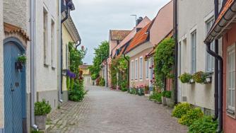 Ефекти на пазара на труда от зеления преход в Готланд, Швеция